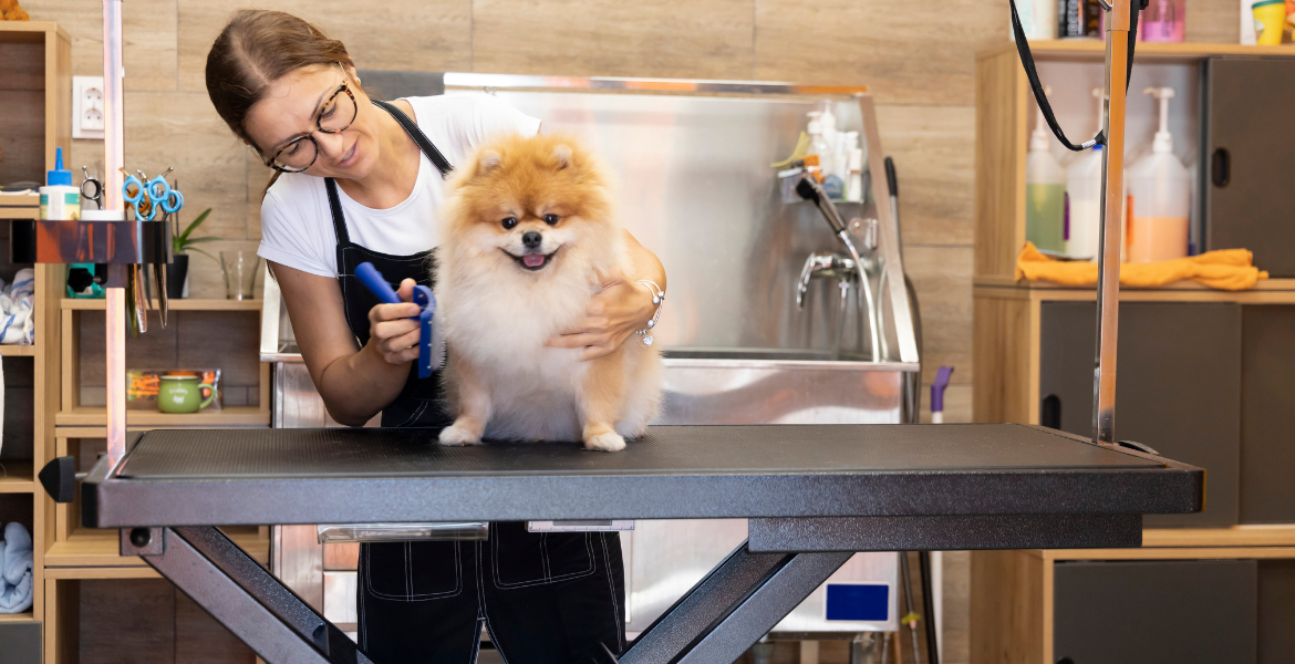 Evcil Hayvan Kuaförlüğü Eğitimi (Pet Kuaförlüğü)